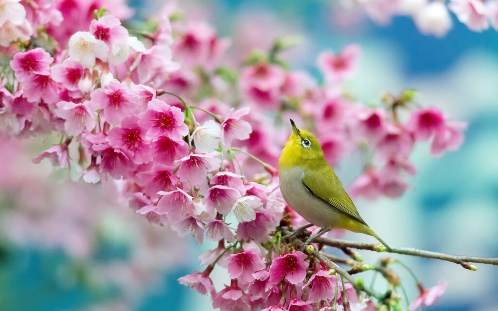 لحظه تحویل سال 1404