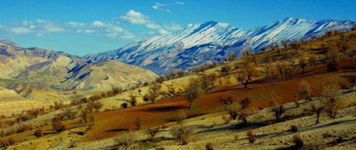 دفتر آگهی روزنامه ایلام دفتر آگهی روزنامه ایلام