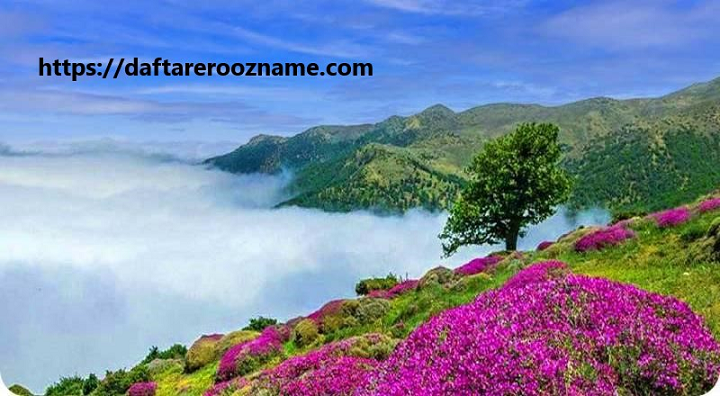 دفتر آگهی روزنامه سمنان